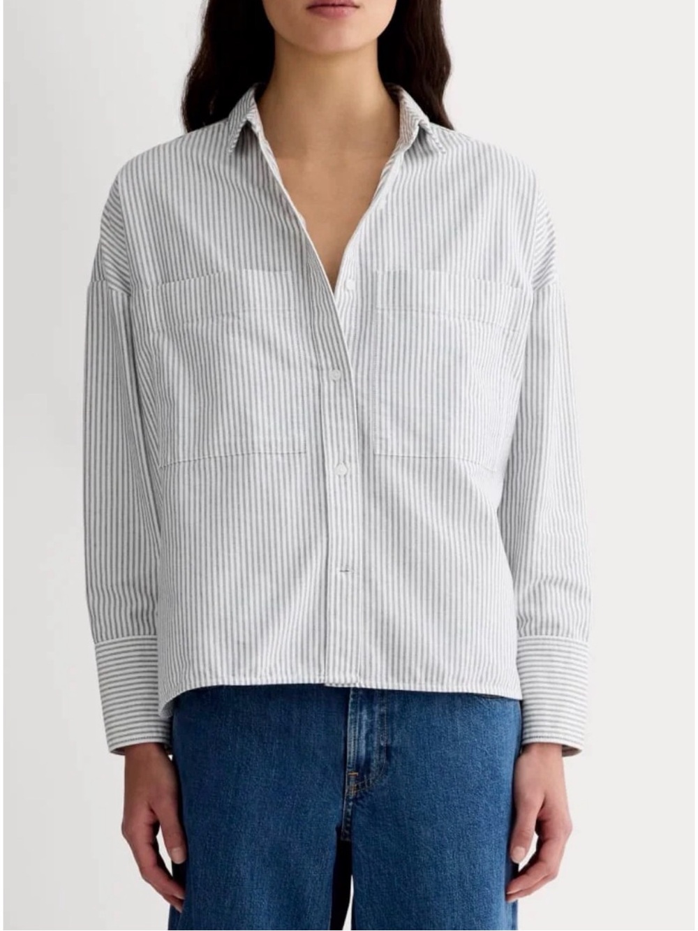 Everlane the Boxy Oxford Striped Button Down Shirt